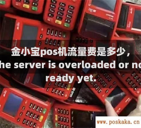 金小宝pos机流量费是多少，The server is overloaded or not ready yet.